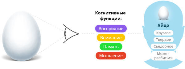 Курение снижает уровень когнитивных способностей