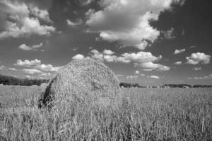 21 тонна сена сгорела