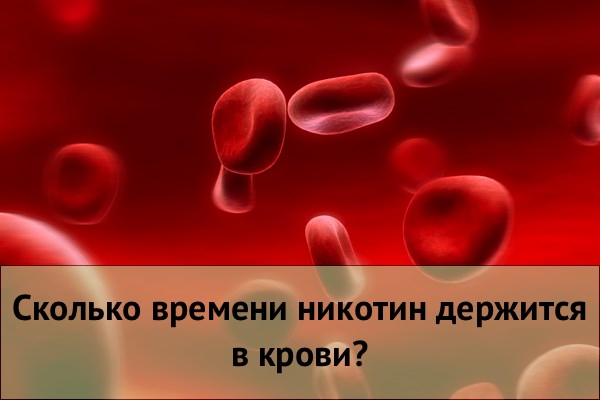 Сколько времени никотин держится в крови?