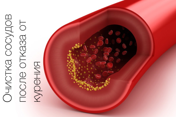 Сосуды после отказа от курения