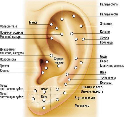 Аурикулотерапия от курения 